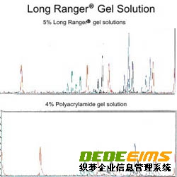 Lonza测序及突变检测产品