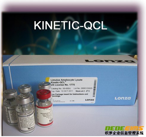 动力学分析（Kinetic Assays）