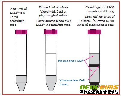 淋巴细胞分离液（LSM）以离心方式分离活淋巴细胞，产品为无菌液体包装。