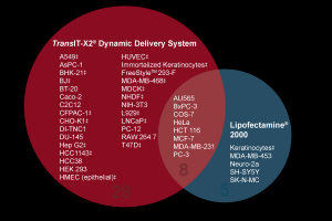 TransIT-X2® 动态传递系统