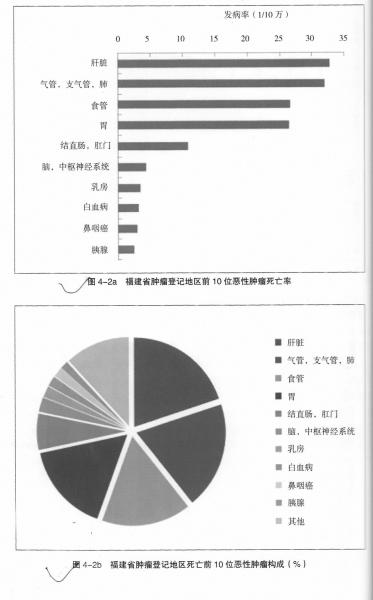 福建人最该提防消化系统肿瘤 男性发病率较高