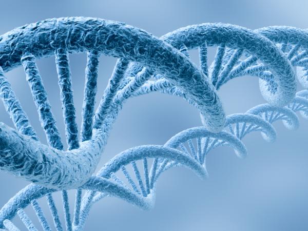 DNA测序可显示疾病倾向 基因信息化爆炸式增长