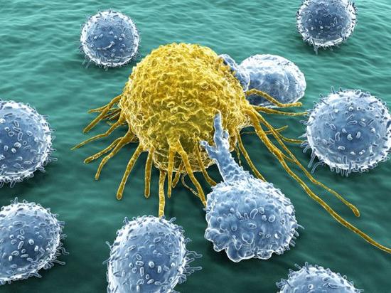 癌症细胞(资料图片)
